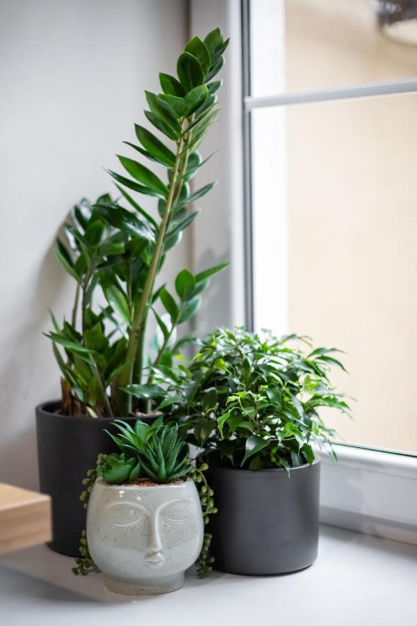 #Stayhere - Cozy 1Bdr Apartment Vilnius Old Town מראה חיצוני תמונה